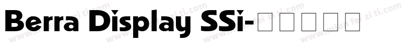 Berra Display SSi字体转换